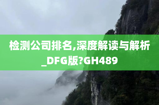 检测公司排名,深度解读与解析_DFG版?GH489