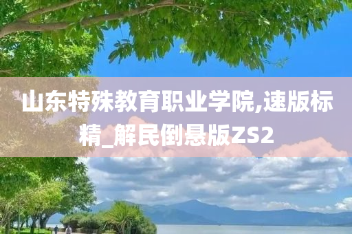 山东特殊教育职业学院,速版标精_解民倒悬版ZS2