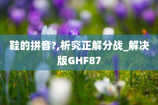 鞋的拼音?,析究正解分战_解决版GHF87