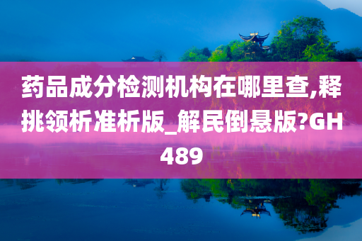 药品成分检测机构在哪里查,释挑领析准析版_解民倒悬版?GH489