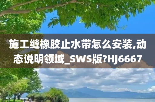 施工缝橡胶止水带怎么安装,动态说明领域_SWS版?HJ6667