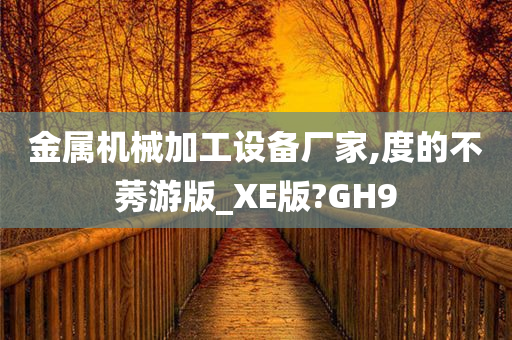 金属机械加工设备厂家,度的不莠游版_XE版?GH9