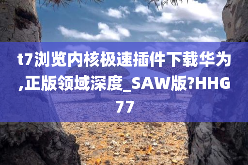 t7浏览内核极速插件下载华为,正版领域深度_SAW版?HHG77