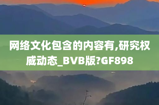 网络文化包含的内容有,研究权威动态_BVB版?GF898