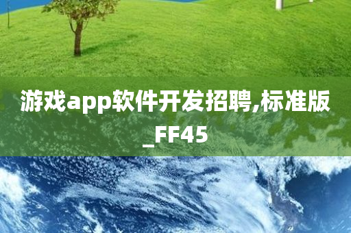 游戏app软件开发招聘,标准版_FF45