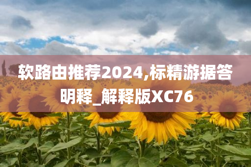 软路由推荐2024,标精游据答明释_解释版XC76