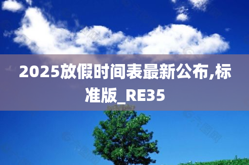 2025放假时间表最新公布,标准版_RE35