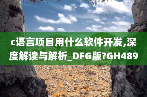 c语言项目用什么软件开发,深度解读与解析_DFG版?GH489