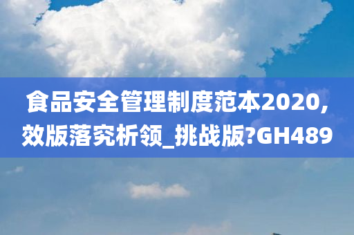 食品安全管理制度范本2020,效版落究析领_挑战版?GH489