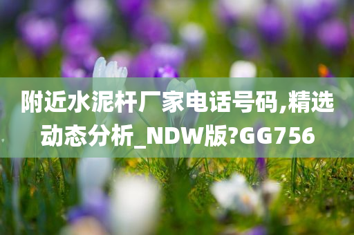 附近水泥杆厂家电话号码,精选动态分析_NDW版?GG756