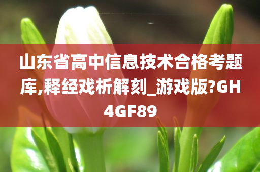 山东省高中信息技术合格考题库,释经戏析解刻_游戏版?GH4GF89