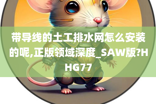 带导线的土工排水网怎么安装的呢,正版领域深度_SAW版?HHG77