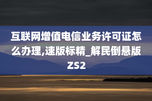 互联网增值电信业务许可证怎么办理,速版标精_解民倒悬版ZS2