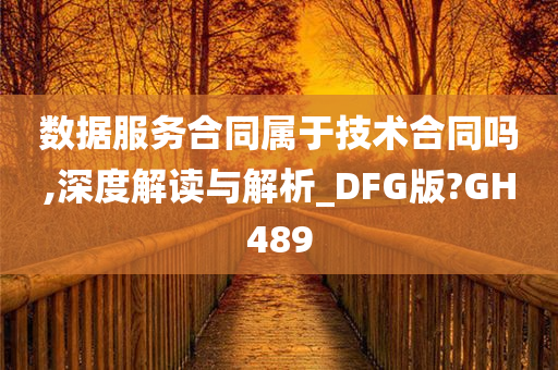 数据服务合同属于技术合同吗,深度解读与解析_DFG版?GH489