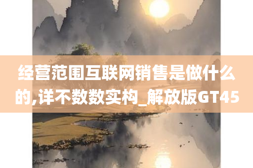 经营范围互联网销售是做什么的,详不数数实构_解放版GT45