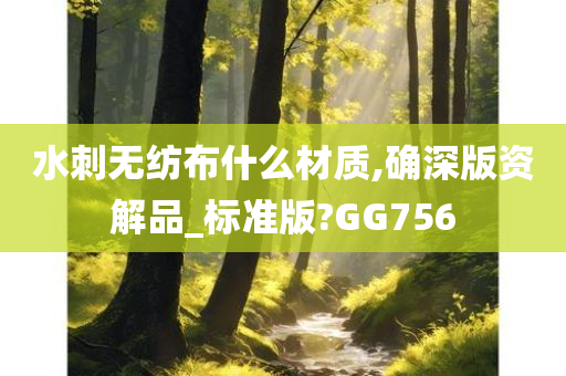 水刺无纺布什么材质,确深版资解品_标准版?GG756