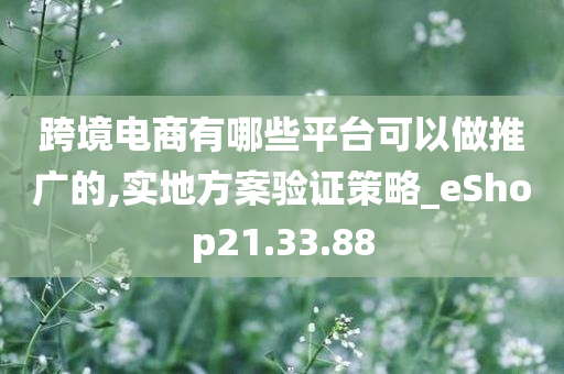 跨境电商有哪些平台可以做推广的,实地方案验证策略_eShop21.33.88