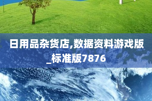 日用品杂货店,数据资料游戏版_标准版7876