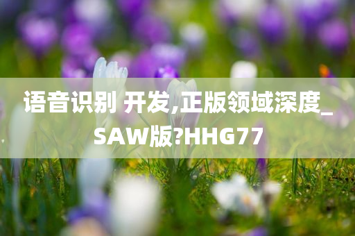 语音识别 开发,正版领域深度_SAW版?HHG77