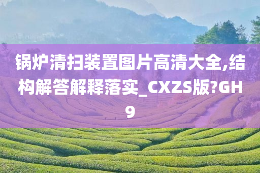 锅炉清扫装置图片高清大全,结构解答解释落实_CXZS版?GH9