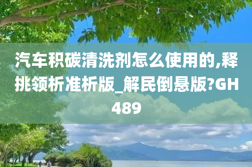 汽车积碳清洗剂怎么使用的,释挑领析准析版_解民倒悬版?GH489