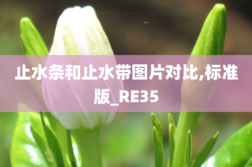 止水条和止水带图片对比,标准版_RE35