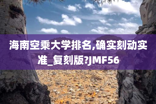 海南空乘大学排名,确实刻动实准_复刻版?JMF56