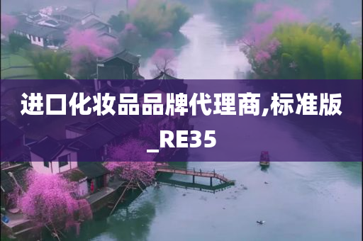 进口化妆品品牌代理商,标准版_RE35