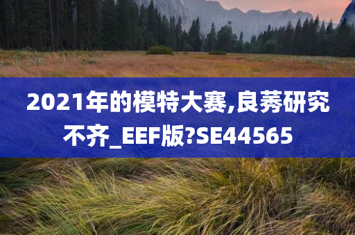 2021年的模特大赛,良莠研究不齐_EEF版?SE44565