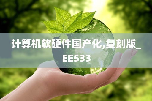 计算机软硬件国产化,复刻版_EE533