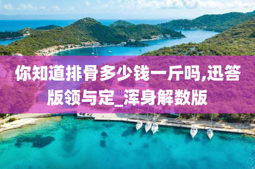 你知道排骨多少钱一斤吗,迅答版领与定_浑身解数版