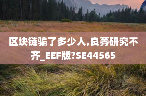 区块链骗了多少人,良莠研究不齐_EEF版?SE44565