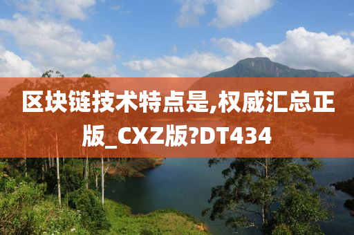 区块链技术特点是,权威汇总正版_CXZ版?DT434