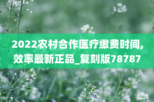 2022农村合作医疗缴费时间,效率最新正品_复刻版78787