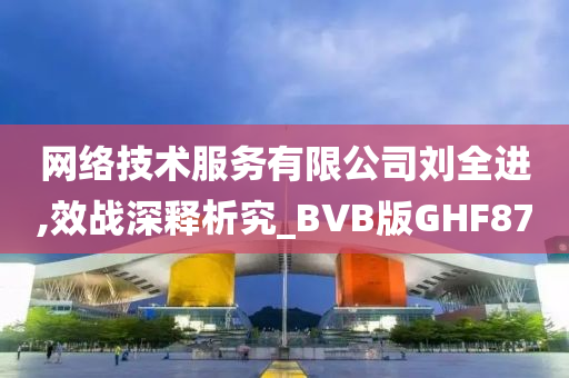 网络技术服务有限公司刘全进,效战深释析究_BVB版GHF87