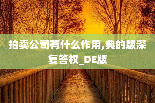 拍卖公司有什么作用,典的版深复答权_DE版