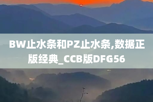 BW止水条和PZ止水条,数据正版经典_CCB版DFG56