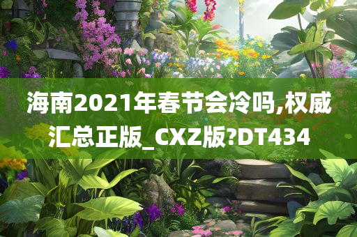 海南2021年春节会冷吗,权威汇总正版_CXZ版?DT434