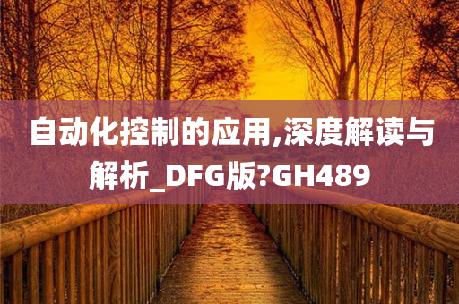 自动化控制的应用,深度解读与解析_DFG版?GH489