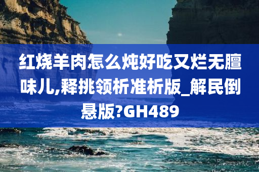 红烧羊肉怎么炖好吃又烂无膻味儿,释挑领析准析版_解民倒悬版?GH489