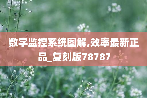 数字监控系统图解,效率最新正品_复刻版78787