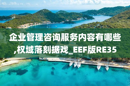 企业管理咨询服务内容有哪些,权域落刻据戏_EEF版RE35