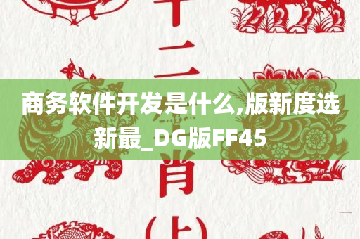 商务软件开发是什么,版新度选新最_DG版FF45