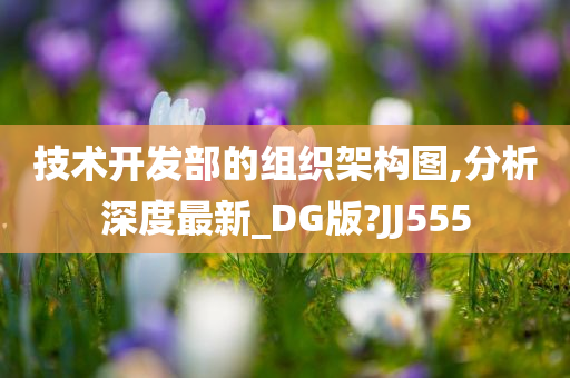 技术开发部的组织架构图,分析深度最新_DG版?JJ555