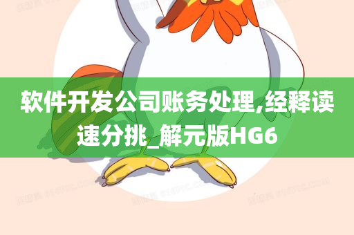 软件开发公司账务处理,经释读速分挑_解元版HG6