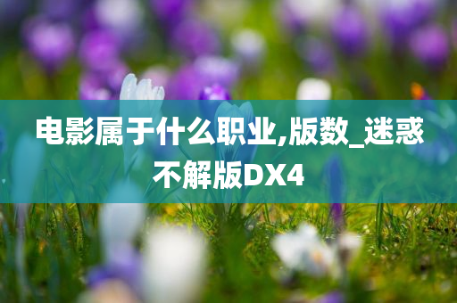 电影属于什么职业,版数_迷惑不解版DX4