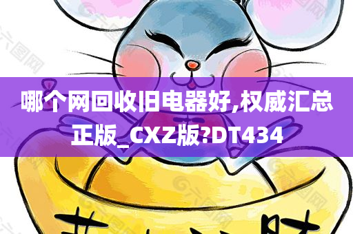 哪个网回收旧电器好,权威汇总正版_CXZ版?DT434