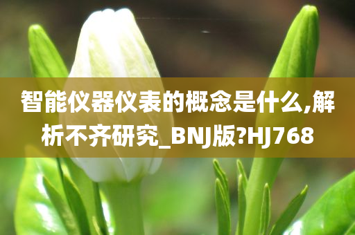 智能仪器仪表的概念是什么,解析不齐研究_BNJ版?HJ768