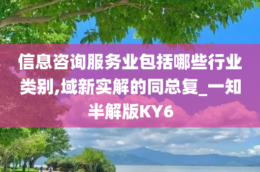 信息咨询服务业包括哪些行业类别,域新实解的同总复_一知半解版KY6