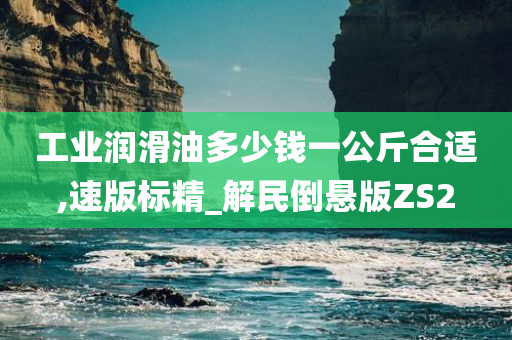 工业润滑油多少钱一公斤合适,速版标精_解民倒悬版ZS2